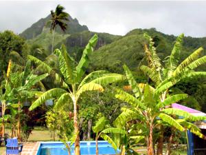 The lovely backdrop at Ariana