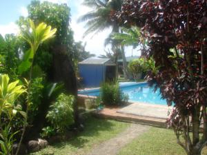 The pool hiding in the garden