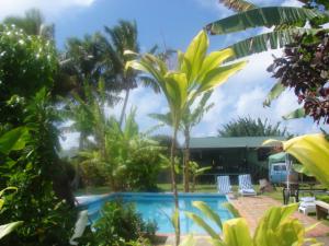 The pool in the Palms!